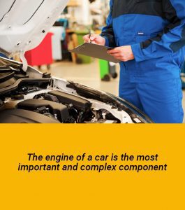 Automotive Maintenance Technician Inspecting a Car Engine